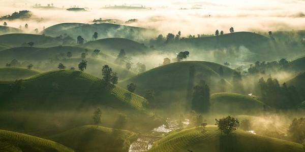 Campos de arroz en Asia
