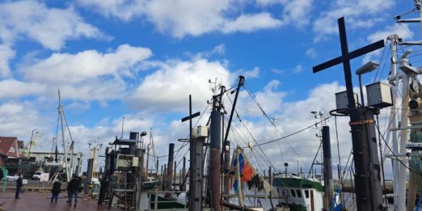 Barcos amarrados en puerto 