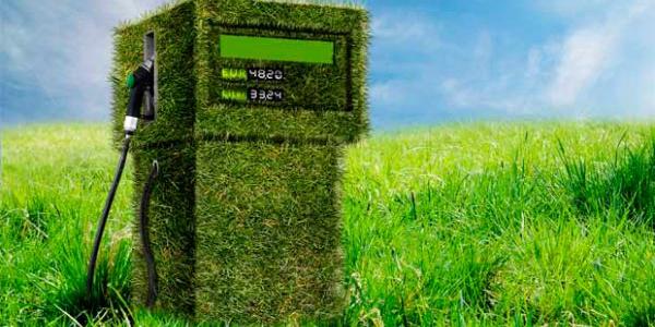 Dudas puestas en los biocombustibles