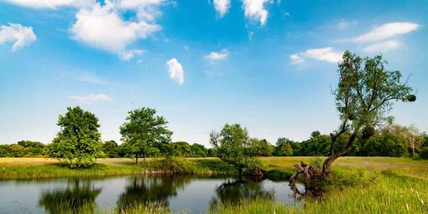 Biofobia y la negación con la naturaleza