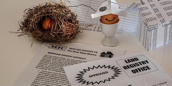 Infografía sobre los bonos verdes