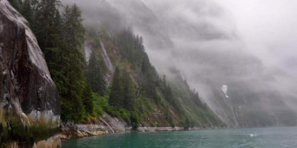 Bosques boreales y cuidados