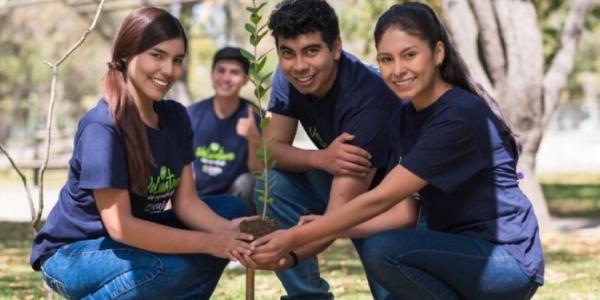 Equipo de Caja Arequipa plantando un árbol