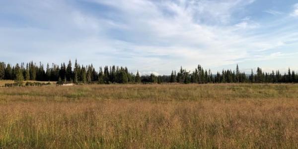 Tierra con zona para cultivo y bosque en Noruega 