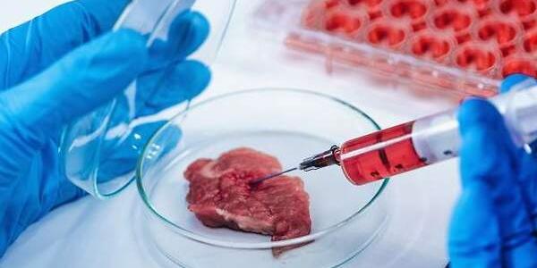 La carne cultivada es cada vez más conocida