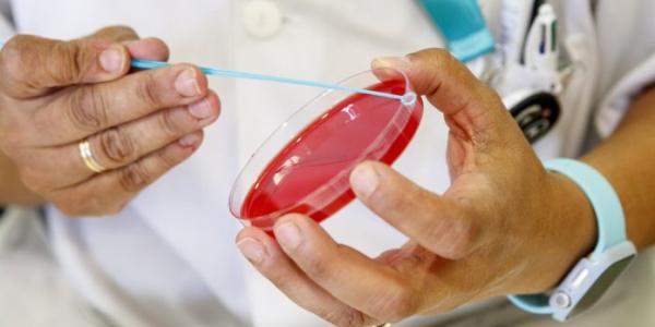 Aumentan los casos de sífilis