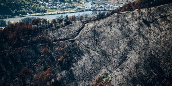 Las cenizas que quedan tras los incendios contaminan el agua potable