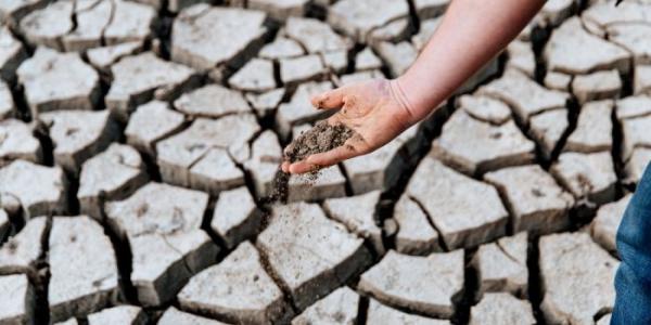 Tierra afectada por sequía 