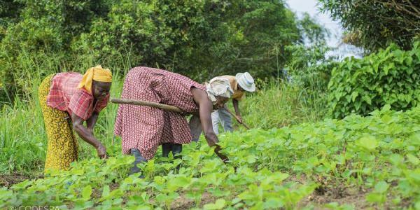 Mujer rural en África