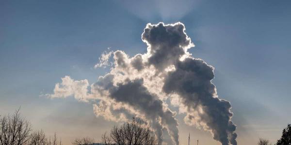 Concentración de CO2 y sumideros