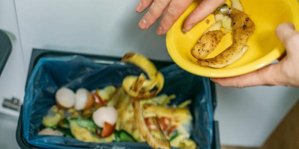 desperdicio alimentario