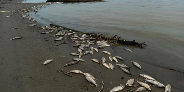 La crisis del agua amenaza la seguridad hídrica