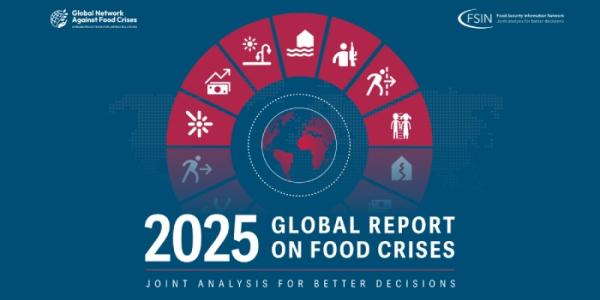 Informe crisis alimentarias