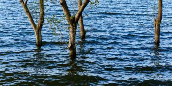 Inundaciones