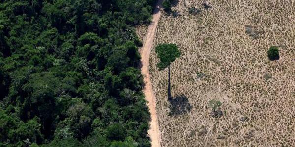Una zona de selva deforestada en Brasil. 