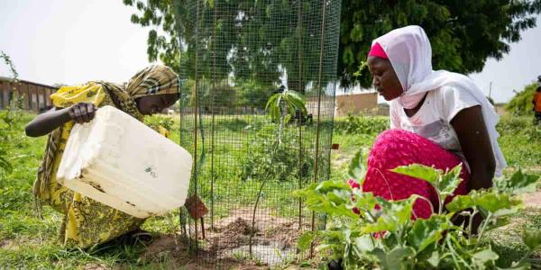 Regreening Africa, la iniciativa por la degradación de la tierra