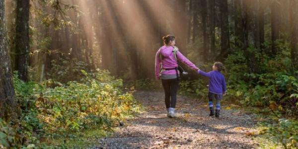 Los derechos humanos se encuentran en las acciones cotidianas