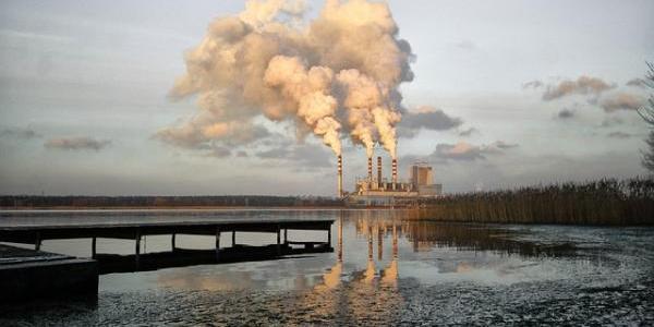 La biodiversidad sigue dañada