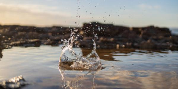 Día Mundial del Agua 2025