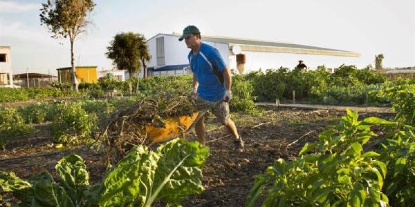 Una dieta climática basada en agroecología nos cuida y cuida del planeta