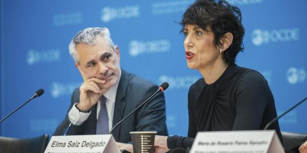 Elma Saiz durante un encuentro con la OCDE | Foto del Ministerio de Inclusión, Seguridad Social y Migraciones