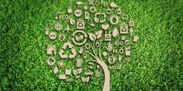 Fundación CEOE y Fundación Acompartir colaborarán en el fomento de la economía circular y la sostenibilidad empresarial