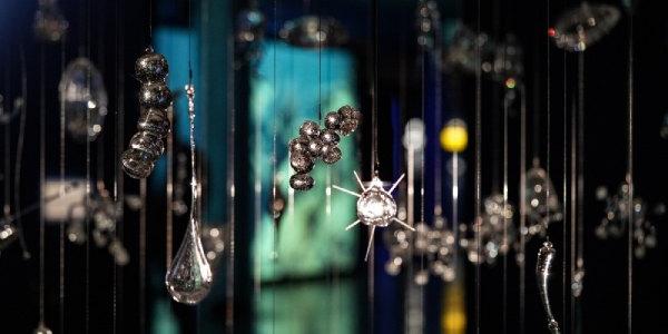 Una parte de la exposición Ecos del Océano