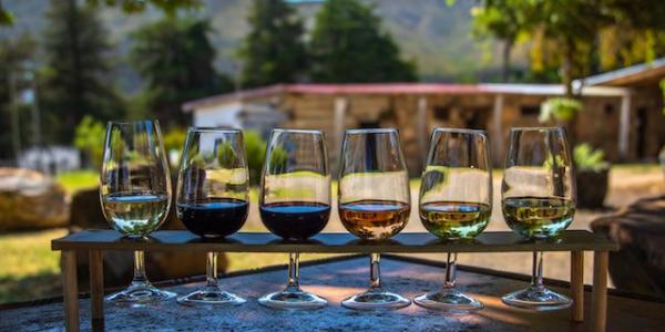 El enoturismo en España 