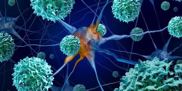 En enterovirus descubierto