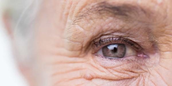 Vacunas para el envejecimiento y las enfermedades