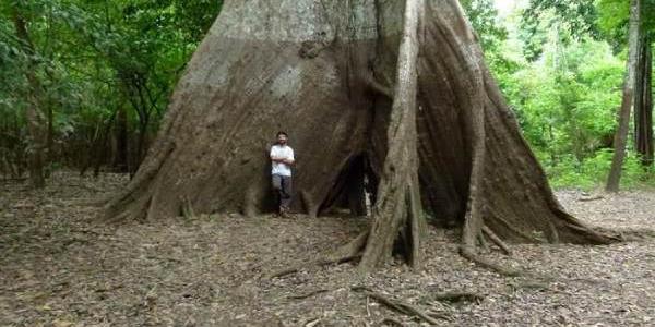 Niveles extremos de inundaciones en la Amazonía