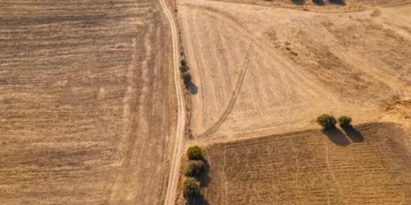 El sector agrícola será el más afectado por la sequía