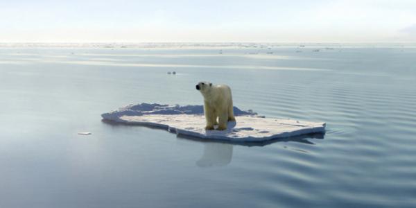 Especies en peligro de extinción por el cambio climático