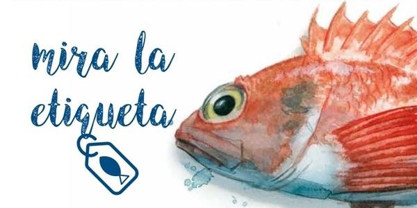 Etiquetado del pescado