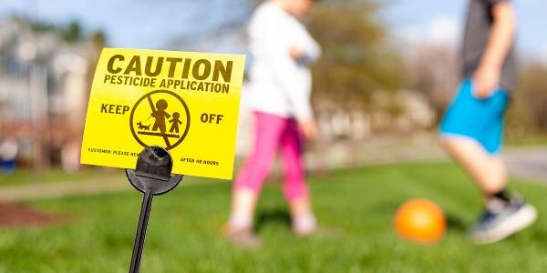 El Proyecto Esquipi y la exposición infantil a sustancias químicas