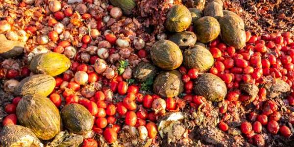 Desperdicio alimentario