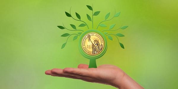 Una mano sujeta una moneda de la que crece un árbol