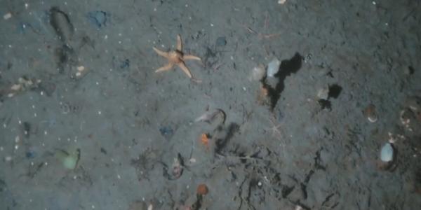 Captura de imagen de vídeo de fondo antártico