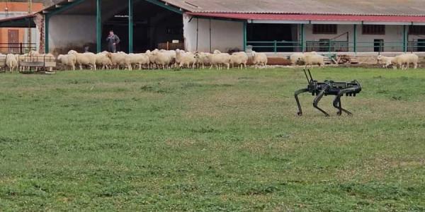 Tecnología para el pastoreo