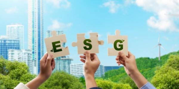 Imagen sobre la ESG