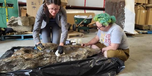 Investigadores observando las huellas de los dinosaurios