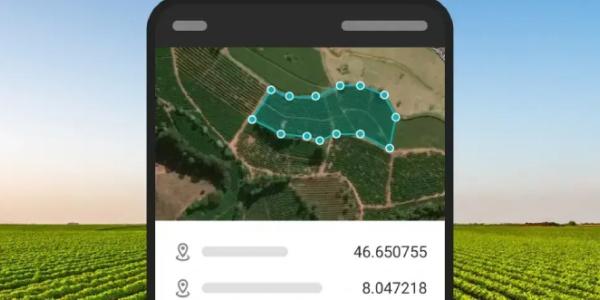 Webinars internacionales ofrece una guía práctica para cumplir con el EUDR