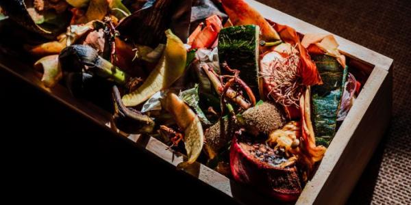 Desperdicio alimentario