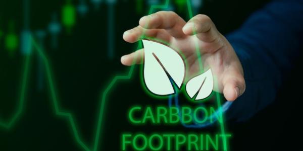 Huella de carbono, infografía de otros medios