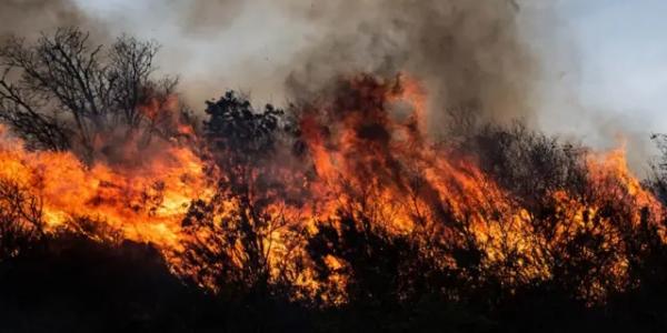 Llamas de un gran incendio en Argentina