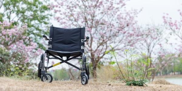 Cermi apuesta por la inclusión en el medio rural