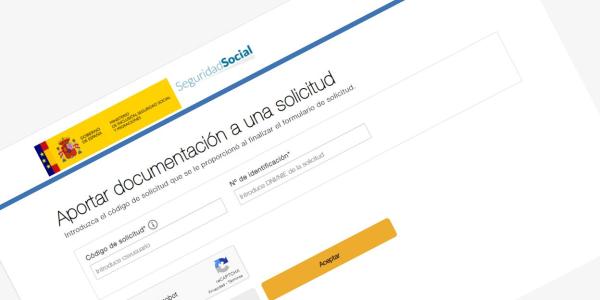 Solicitud Ingreso Mínimo Vital