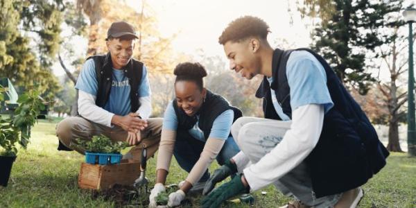 Jóvenes plantando un árbol