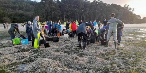 El sector de marisqueo en Galicia se queda sin jóvenes