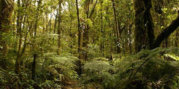 Kutxabank con los montes de Gipuzkoa